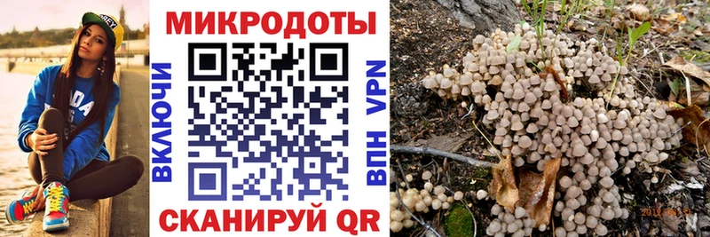 Псилоцибиновые грибы GOLDEN TEACHER  hydra зеркало  Долгопрудный 