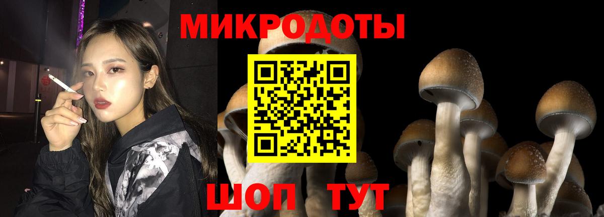 Долгопрудный  Галлюциногенные грибы прущие грибы  Вход с VPN  Псилоцибиновые грибы Magic Shrooms 